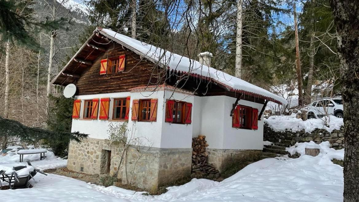Chalet Le Tyrolien, Au Coeur Du Boreon Сен-Мартен-Везюби Экстерьер фото