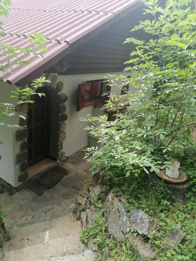 Chalet Le Tyrolien, Au Coeur Du Boreon Сен-Мартен-Везюби Экстерьер фото