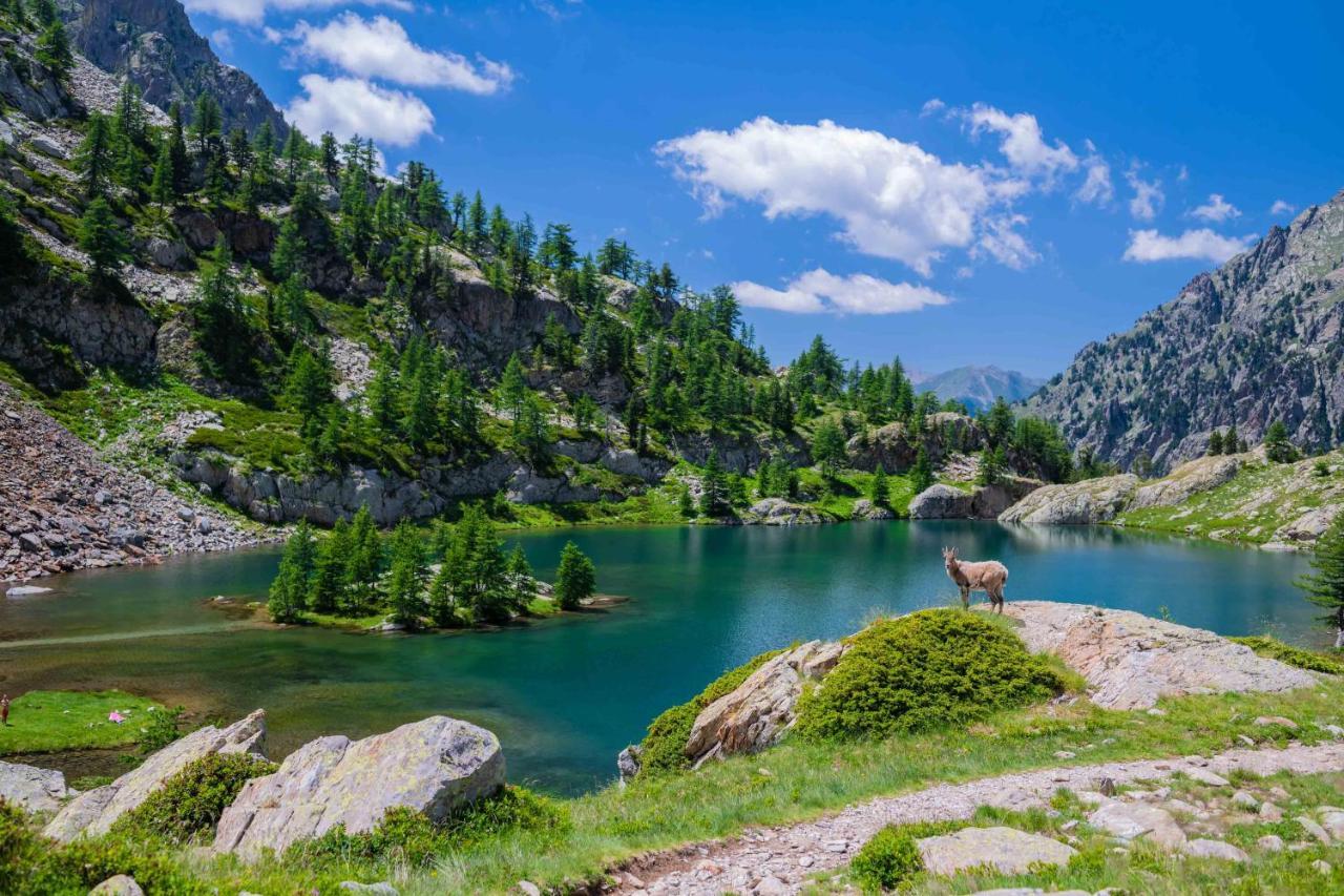Chalet Le Tyrolien, Au Coeur Du Boreon Сен-Мартен-Везюби Экстерьер фото